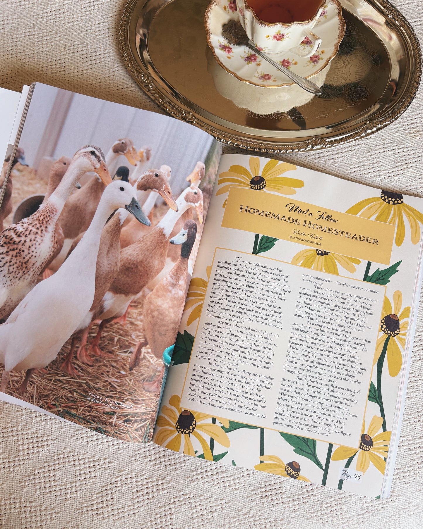 Homemade Homesteading: Spring/Summer 2025