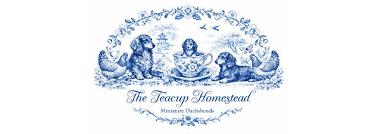 Logo Refresh and Website Refinement