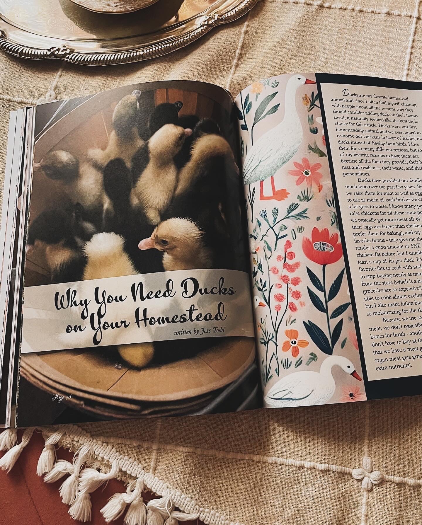 Fall/Winter 2024 Edition of Homemade Homesteading Magazine