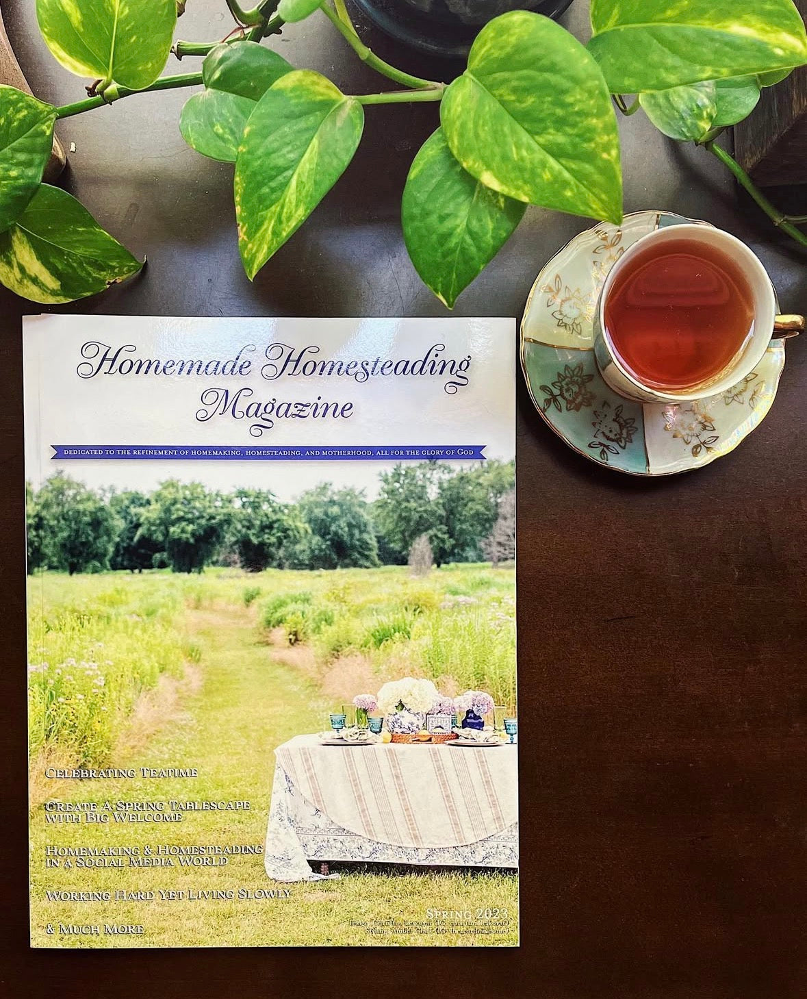 Issue 1: Homemade Homesteading Magazine Spring/Summer 2023