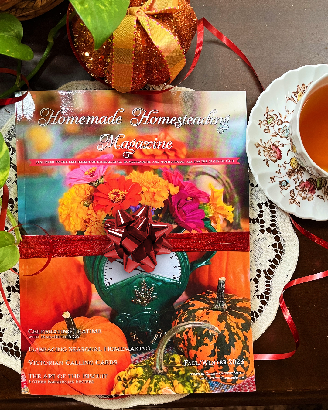 Homemade Homesteading Magazine: Fall/Winter 2023